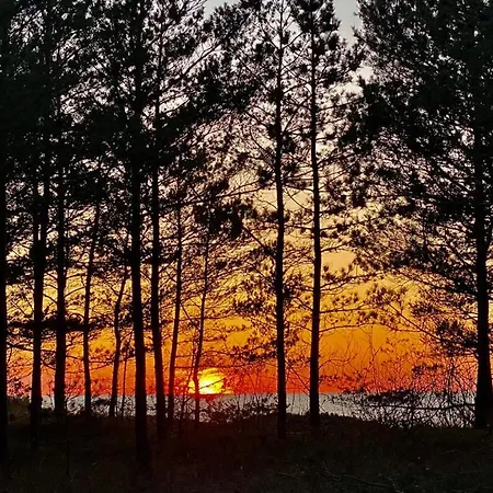 Z Tarasem Plaza 22 *