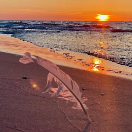 Z Tarasem Plaza 22 דירה רוגובו