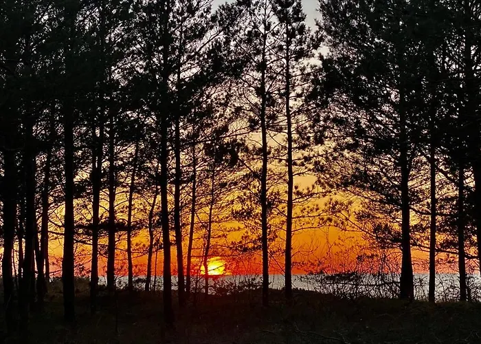 Z Tarasem Plaza 22 *