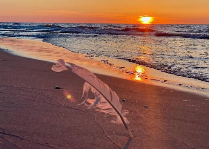 Z Tarasem Plaza 22 Apartment Rogowo (Gryfice)