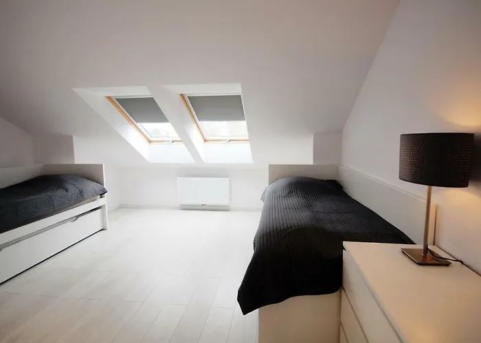 Z Tarasem Plaza 22 * Rogowo (Gryfice)